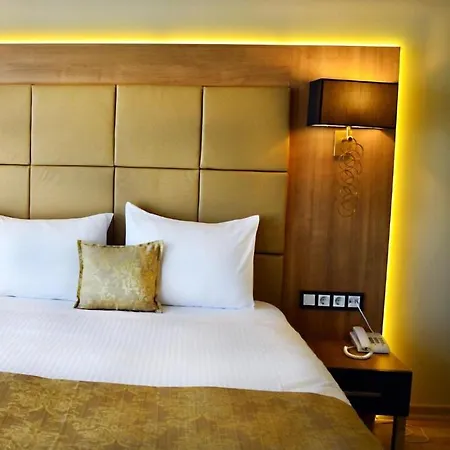 Live Hotel